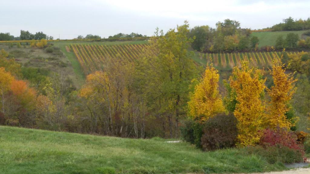 Les Hauts D'Albas Albas  Phòng bức ảnh