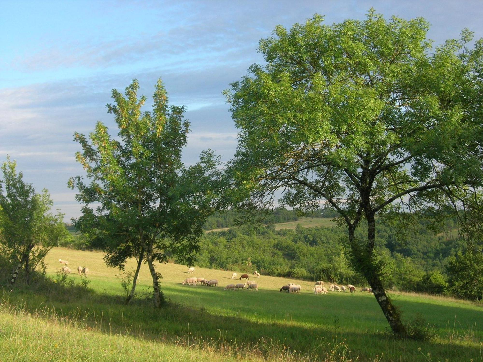 Les Hauts D'Albas Albas  Phòng bức ảnh
