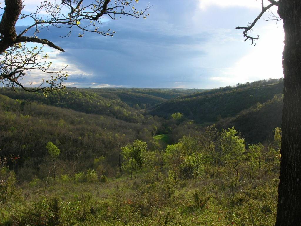 Les Hauts D'Albas Albas  Phòng bức ảnh